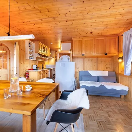 Steinadler Silberleiten Appartement Konigsleiten