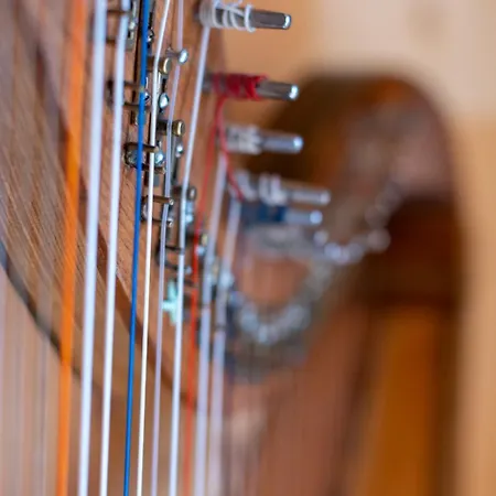 Steinadler Silberleiten Appartement Konigsleiten