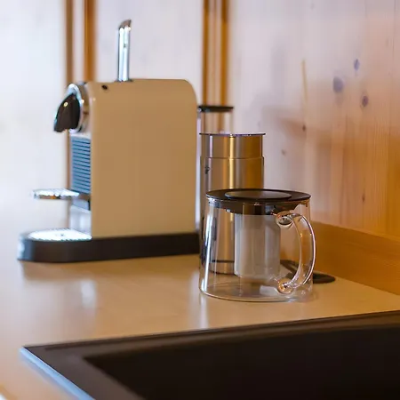 Steinadler Silberleiten 公寓