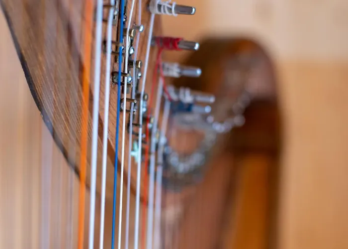 Steinadler Silberleiten Appartement Konigsleiten