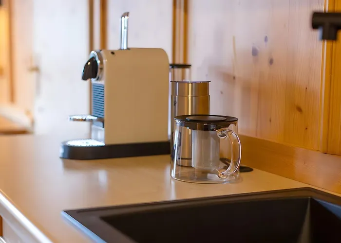 Steinadler Silberleiten 公寓