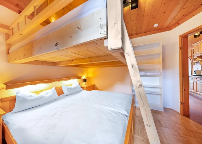 Steinadler Silberleiten 公寓 *